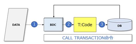 abap call transaction.